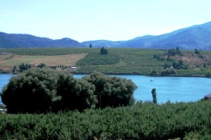 Tildio Winery